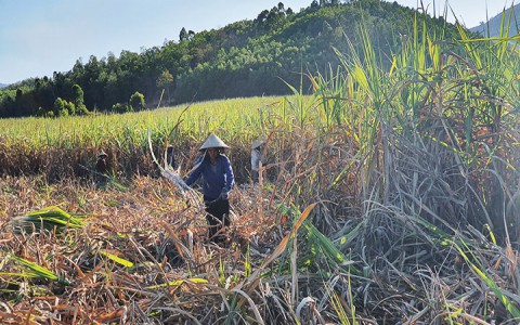 Những chuyện bất thường tại TTC - Biên Hòa